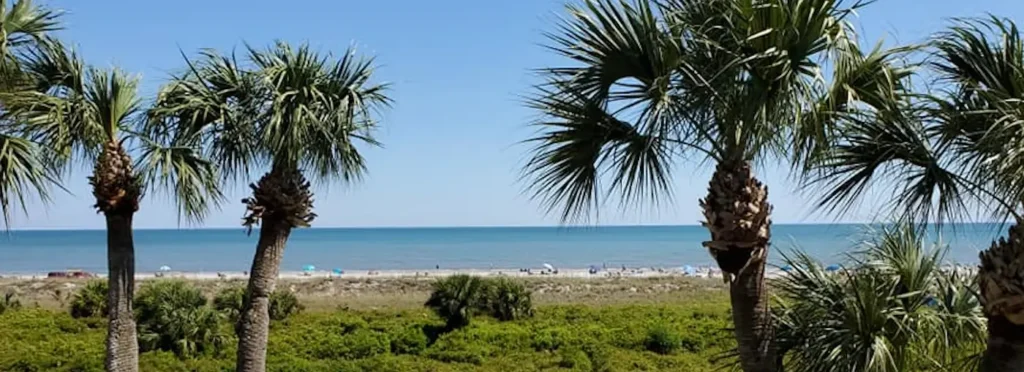 view of the beach at Hilton Head south carolina through some palm trees