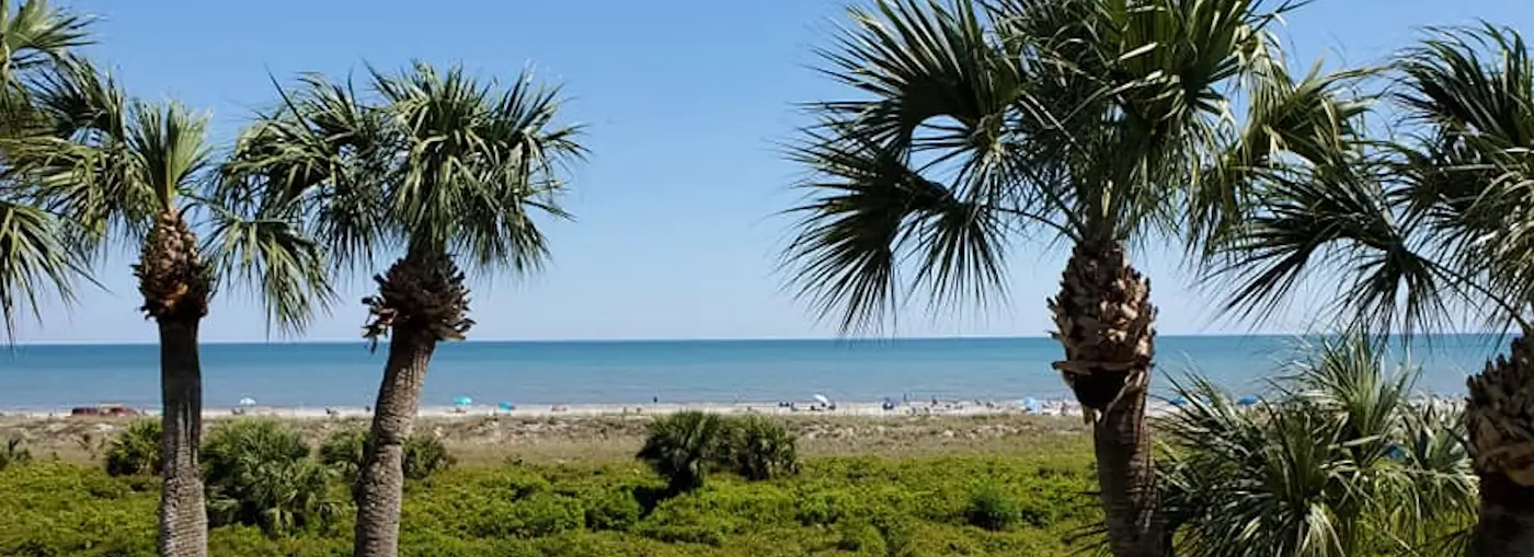 beach and ocean waves as viewed through palm trees