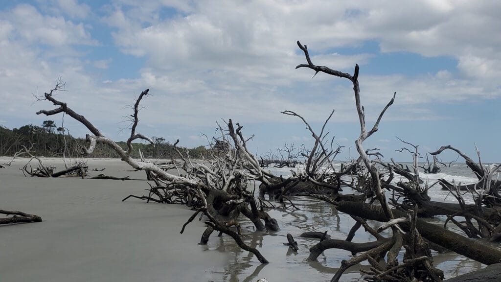 Hunting Island State Park, SC beach