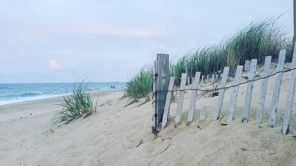 kitty hawk beach life