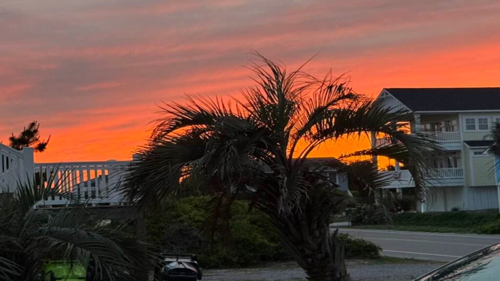 sunset with palm tree on oak island nc