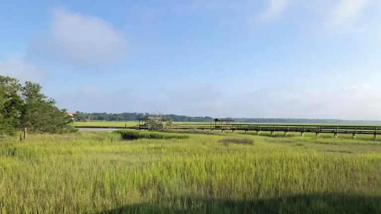 Pawleys Island beach South Carolina