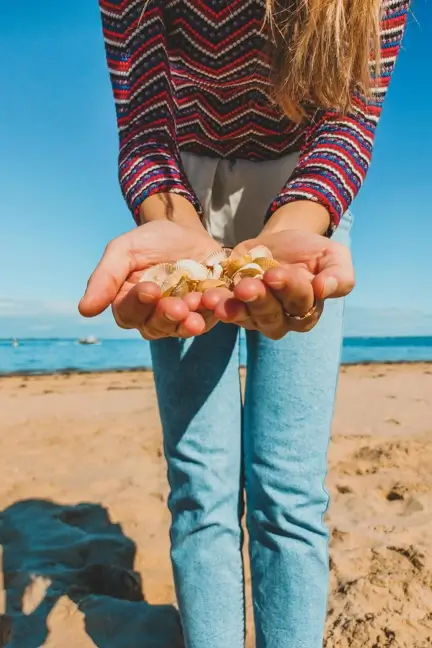 shell hunting on Carolina beach North Carolina