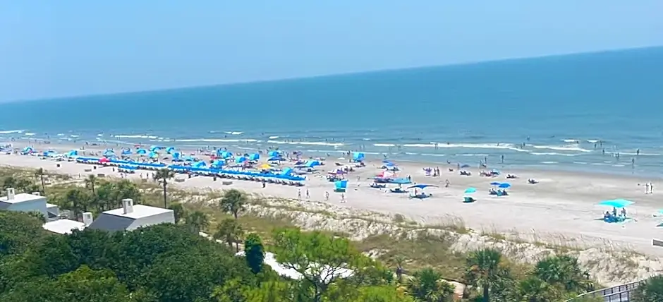 High-angle view of a vibrant hilton head beach scene on a clear day. Rows of blue beach umbrellas and chairs fill the sand, with beachgoers swimming in the turquoise ocean and walking along the shore. Lush dunes with palm trees and buildings are visible in the foreground.