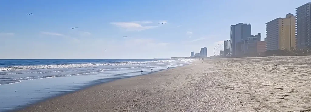 A quiet sandy beach with birds flying overhead and a coastal city skyline in the background.