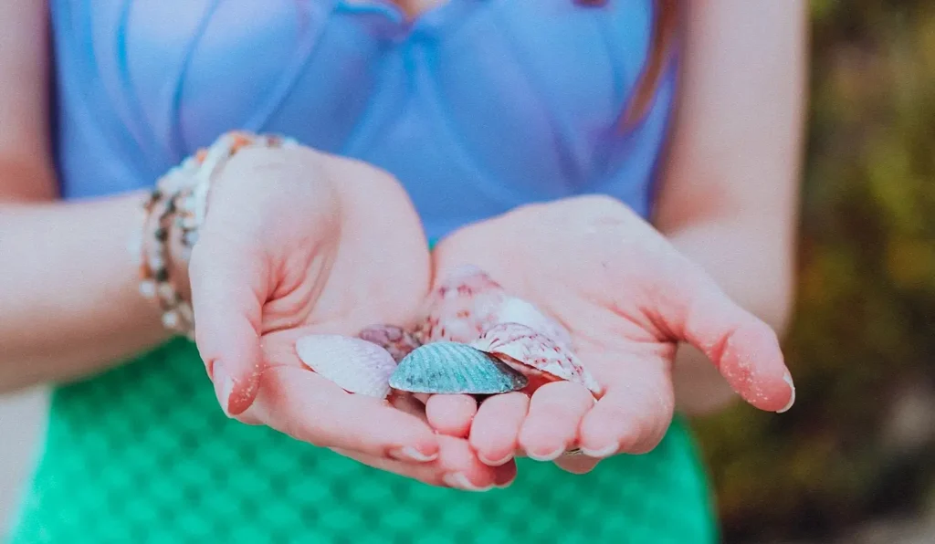 A pair of hands cupped together, holding a small collection of colorful seashells, with the person wearing a blue top and green patterned garment visible in the background.