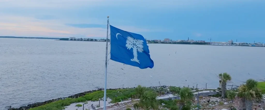 The South Carolina state flag (blue with white palmetto tree and crescent moon) waving on a flagpole beside a waterfront. In the background is a wide river or harbor with a Charleston city skyline visible across the water under a soft evening sky, with birds and coastal vegetation in the foreground.