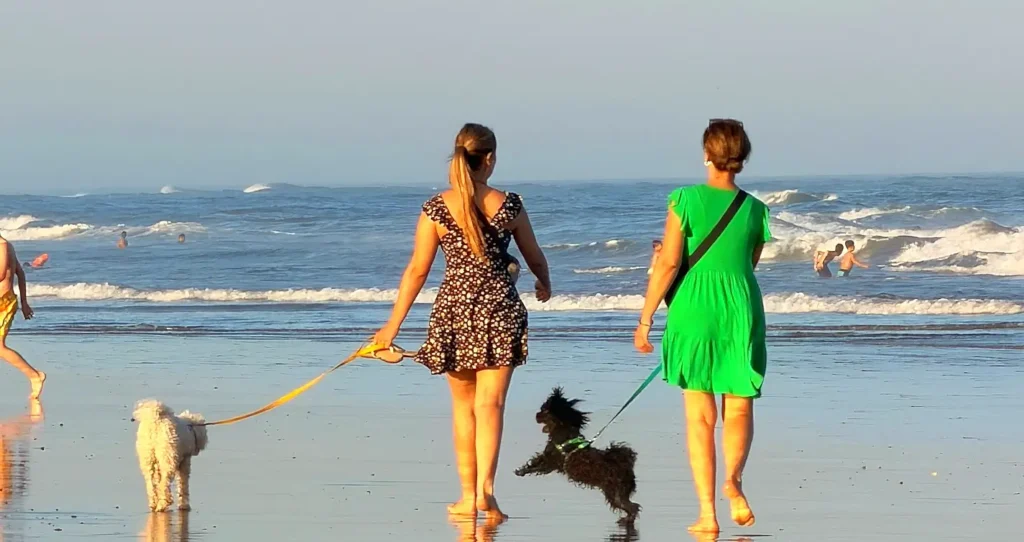 Two women walking barefoot along the wet sand at the beach, each holding a leash — one with a small white poodle and the other with a small black dog. They are walking toward the ocean with waves and other people in the background.