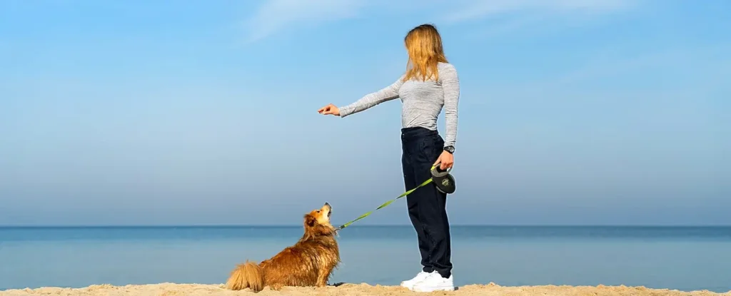 A woman standing on the sand holding a leash while a brown dog sits beside her looking up, with the calm ocean and blue sky in the background.