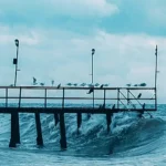 A pier extending over rough, choppy ocean waters with many seagulls perched along its railing as waves crash below.