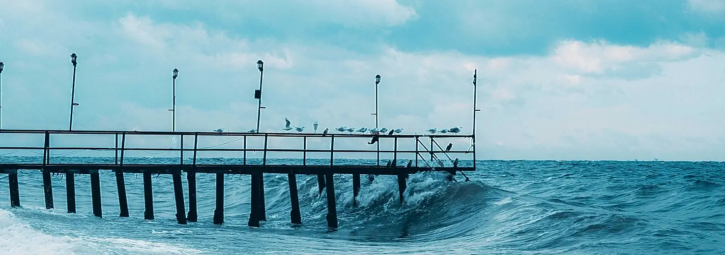 A pier extending over rough, choppy ocean waters with many seagulls perched along its railing as waves crash below.