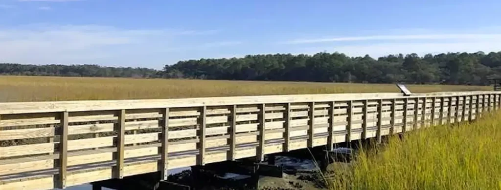 Long wooden boardwalk with railings stretching across a sunny coastal marsh, bordered by tall golden and green grasses with a distant tree line under a clear blue sky.