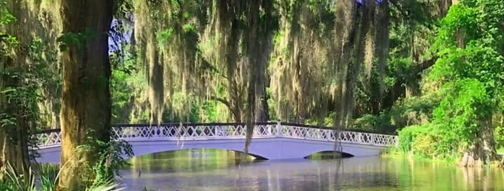 White arched bridge with ornate lattice railing spanning over calm water, surrounded by lush green trees draped with hanging Spanish moss in a serene garden setting.