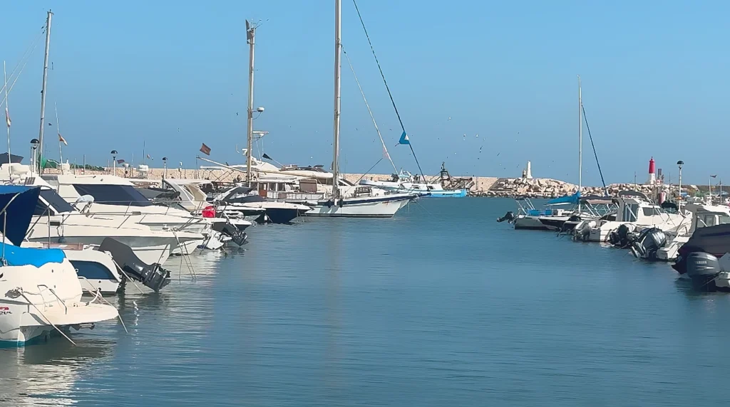 fishing boats in a marina