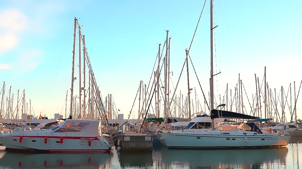 A crowded sailboat marina at golden hour with dozens of sailboats docked in calm water. Tall masts create a dense forest against a bright blue sky with soft clouds. In the foreground, two prominent white sailboats are moored side by side with clear reflections in the water
