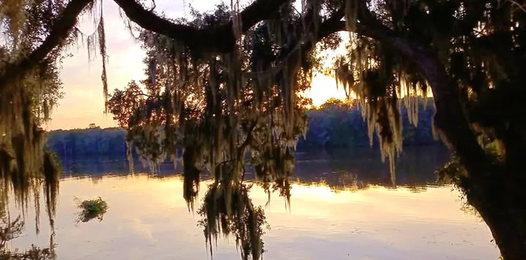 Beautiful sunset over calm water at Murrells Inlet, South Carolina, with large oak trees draped in Spanish moss framing the golden sky and its reflection on the water.
