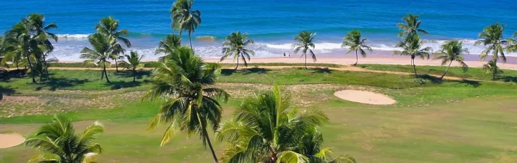 Aerial view of a beachfront golf fairway lined with palm trees