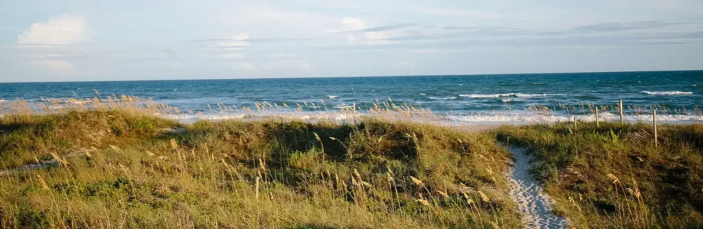 Sea oats and sand dunes leading to the Atlantic Ocean on a North Carolina beach