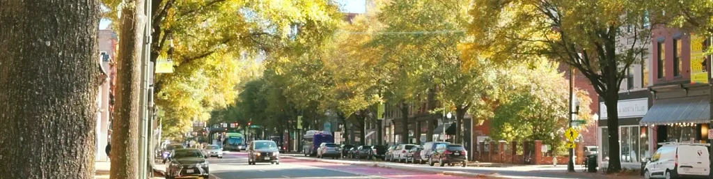 Tree-lined street in Charleston, South Carolina, with autumn foliage, parked cars, shops, and historic buildings under bright sunlight.