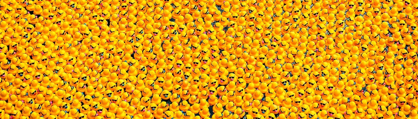 Overhead view of thousands of yellow rubber ducks wearing sunglasses packed together