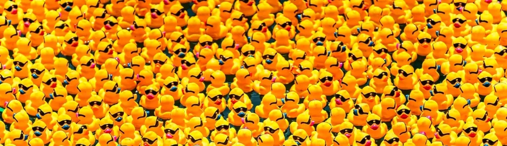 Close-up overhead shot of yellow rubber ducks with sunglasses floating in a dense cluster