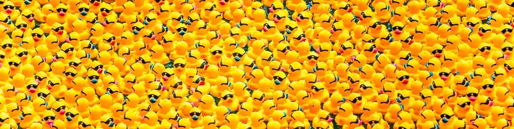 Dense overhead view of rubber ducks with sunglasses floating on water