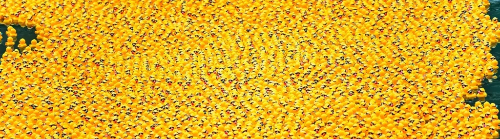 Wide aerial view of a massive raft of rubber ducks floating on dark water
