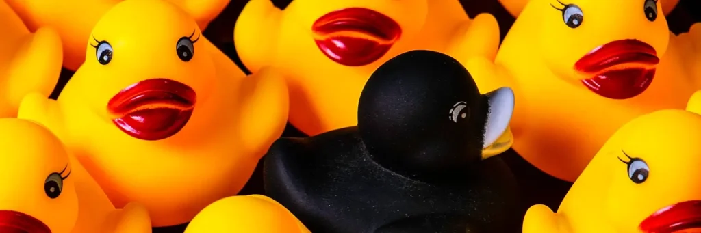 Close-up of a single black rubber duck surrounded by classic yellow rubber ducks