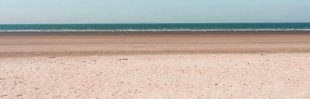 A wide, empty stretch of quiet shoreline with no crowds in sight