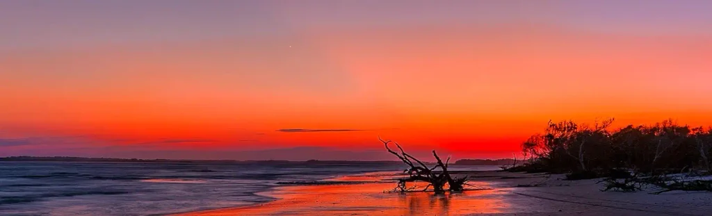 Dramatic orange sunset over a quiet Charleston-area beach with driftwood silhouetted on the sand