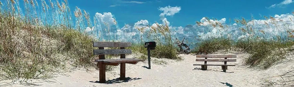 Black “KINDRED SPIRIT” mailbox with pink North Carolina shape centered on a sandy path between two wooden benches, surrounded by dry dune grass with the ocean visible in the distance under gray skies.