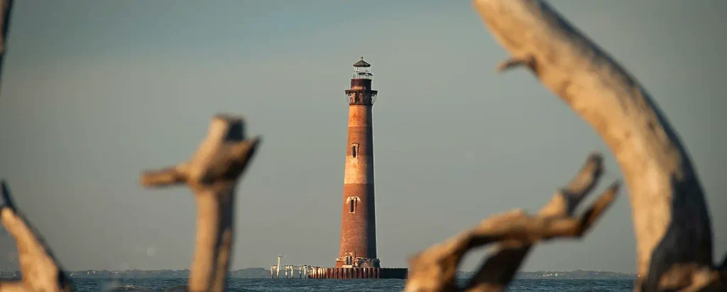 Morris Island Lighthouse framed by weathered driftwood branches at Lighthouse Inlet, Folly Beach