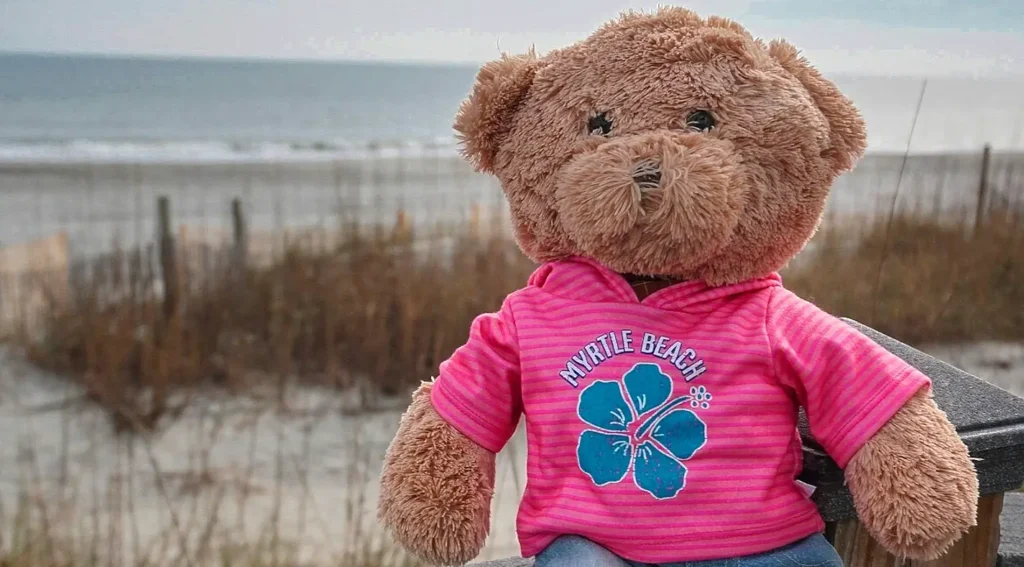 Teddy bear in a pink Myrtle Beach hoodie sitting on a beach railing with the ocean in the background