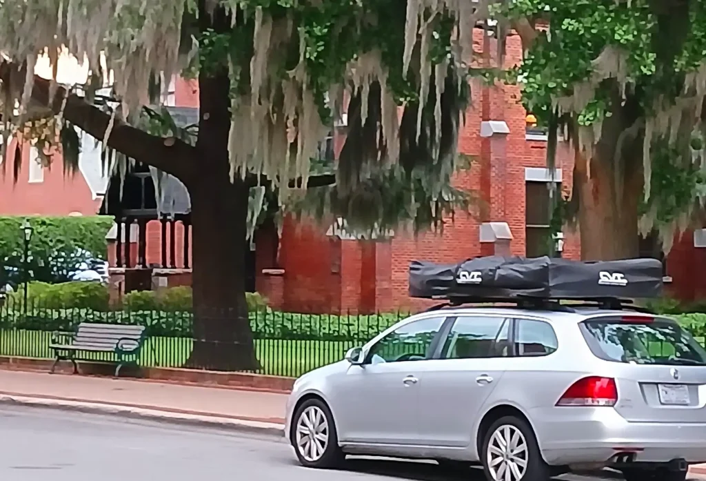 mossy oaks in downtown new bern nc