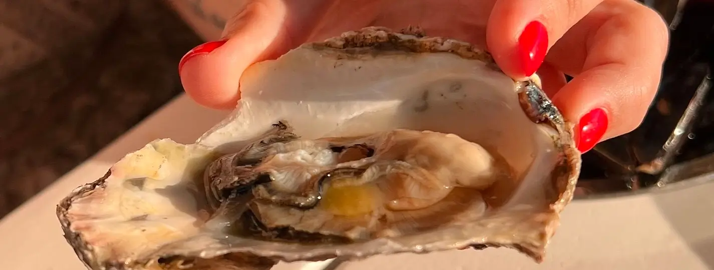 Close-up of a freshly shucked oyster on the half shell held in hand