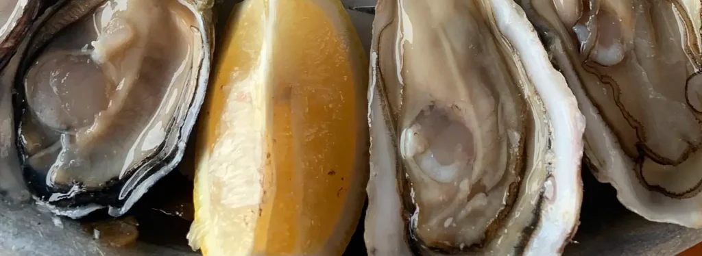 Row of raw oysters on the half shell with a lemon wedge on ice