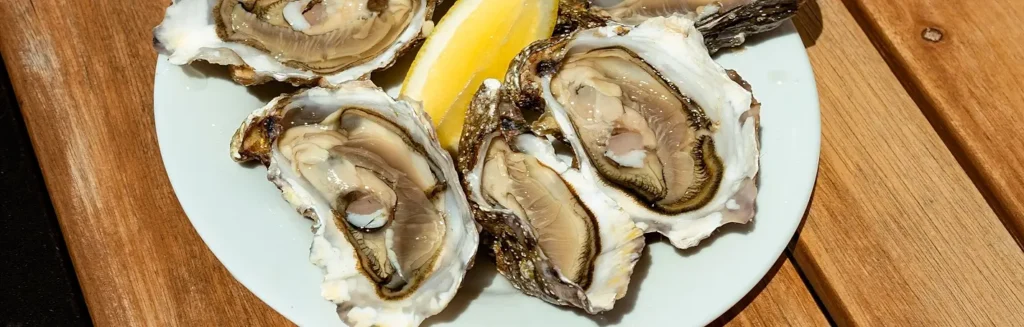 Plate of raw oysters on the half shell with lemon wedge on a wooden table