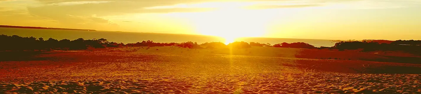 Golden sunrise over expansive sand dunes and low vegetation, with the bright sun low on the horizon and calm water visible in the distance – Outer Banks dune landscape.