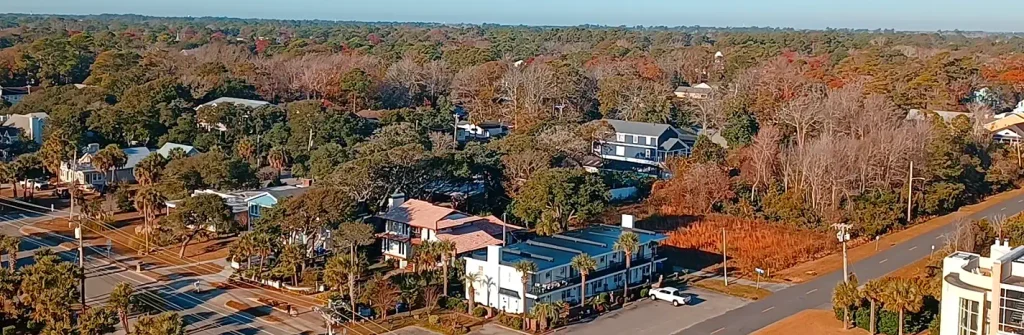 Aerial view of a tree-lined residential neighborhood with houses, palm trees, and autumn-colored foliage near the coast.  

