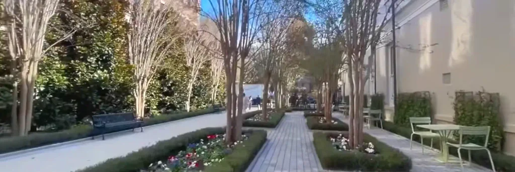 A landscaped pedestrian pathway in Charleston, SC, lined with young trees, flower beds, and hedges; a black bench sits on the left, outdoor tables and chairs on the right, with buildings visible along the walkway under a clear sky.