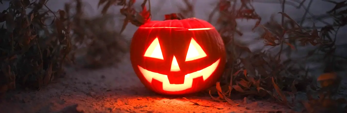 Illuminated jack-o’-lantern sitting on sandy ground amid dry coastal plants and soft fog, evoking a spooky evening walk or yard display near the Carolina shore.