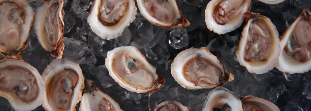 Fresh oysters on the half shell arranged on a bed of crushed ice.

