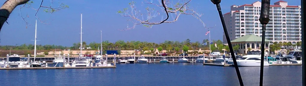 Sunny marina view with numerous white boats docked along piers, green trees and a large multi-story building with red-tiled roofs and a gazebo-like structure on the right, under a clear blue sky; tree branches frame the top.