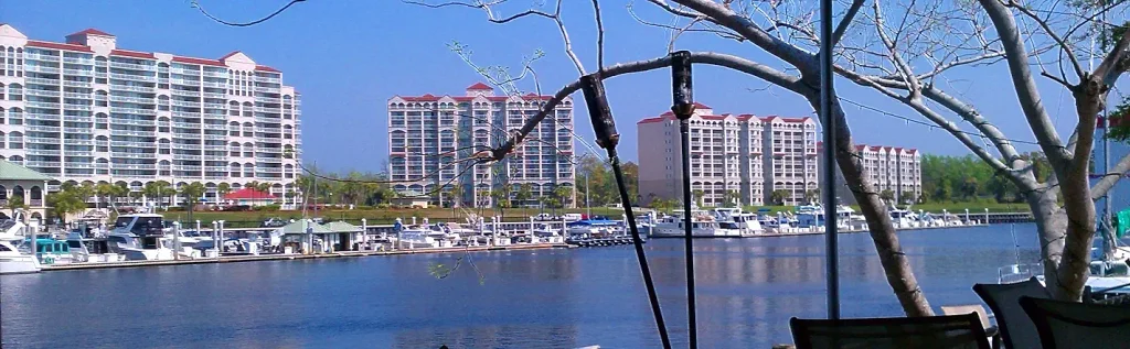 Wide marina scene with many boats docked in blue water, several tall beige high-rise buildings with red roofs in the background, palm trees and greenery, under a bright blue sky; bare tree branches and poles in the foreground.