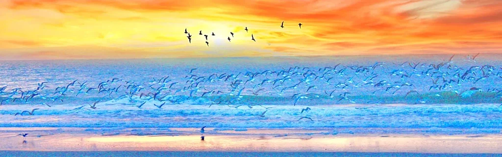 Flock of seabirds flying low over blue ocean waves and wet sand at sunset, with a bright orange-yellow sky and a few birds higher in the air.
