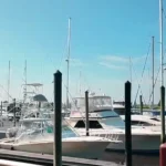 Rows of white boats and sailboats docked at wooden piers with dark pilings under a clear blue sky; calm water and distant shoreline in the background.