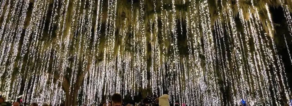 Dense canopy of long strands of white fairy lights hanging from tree branches covered in Spanish moss, creating a glowing tunnel of light at night. People stand below looking up at the display.