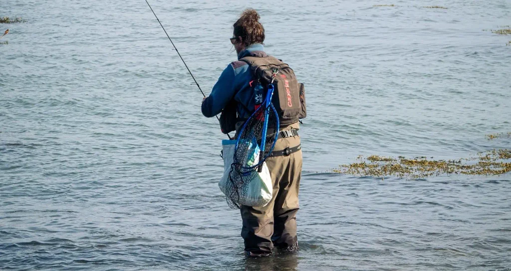 Rear view of an angler in waders standing knee-deep in calm water, wearing a blue jacket and backpack with a landing net and white bag attached, holding a fishing rod.

