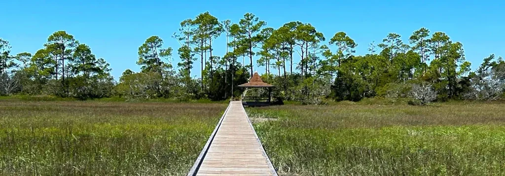 Long wooden boardwalk stretching across a grassy wetland toward a small covered gazebo, with pine trees under a clear blue sky.