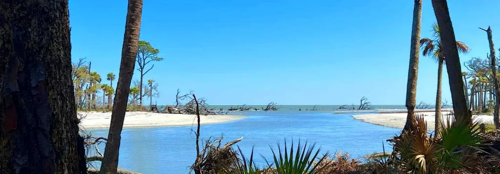 Calm blue waterway winding between sandy shores lined with palm trees and driftwood, framed by tree trunks in the foreground under a bright blue sky.